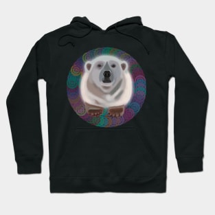 Polar Bear on rainbow circular pattern Hoodie